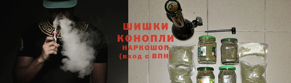 гашик Верея