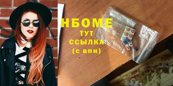 гашик Верея