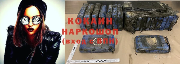 гашик Верея